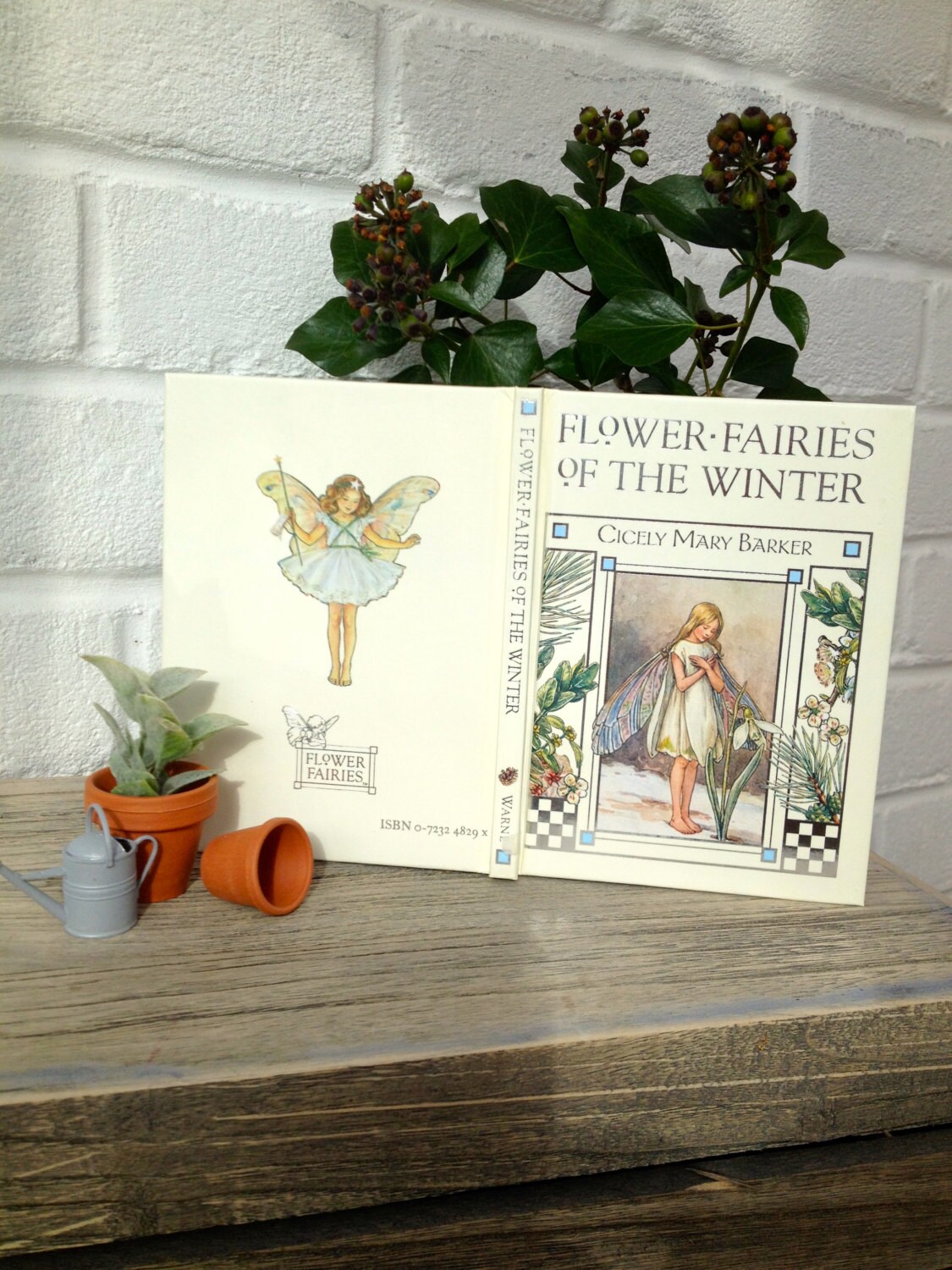Flower Fairies Of The Winter : Barker, Cicely Ary, Barker, Cicely Ary: Aazon.es