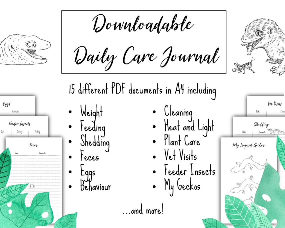 Leopard Gecko Daily Care Journal Leopard Gecko Supplies Etsy