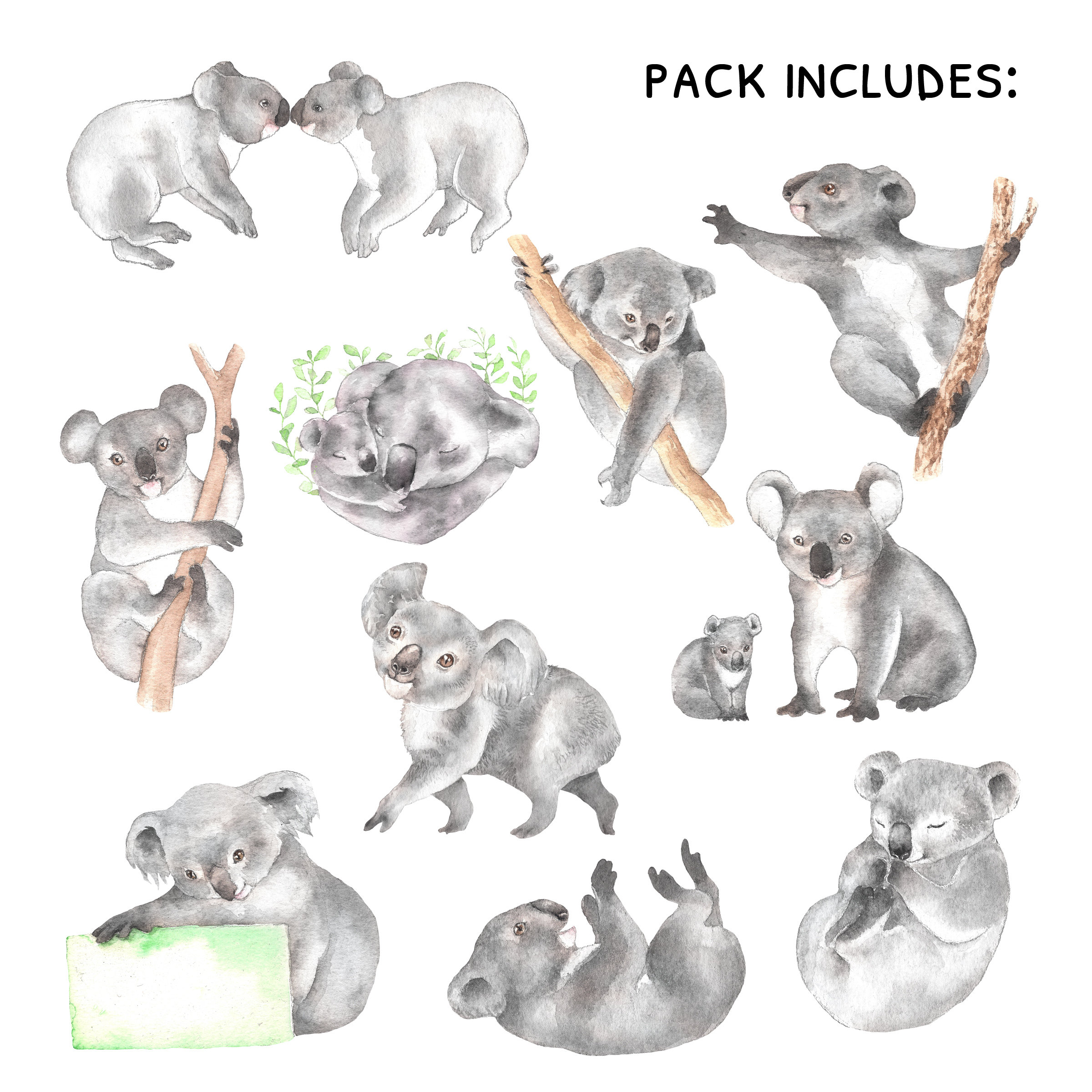 Watercolor Koalas, Koala Clipart, Little Animals Clipart, Australia