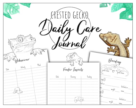 Crested Gecko Daily Care Journal Crested Gecko Supplies Crested Gecko Gift Gecko Lizard Lizard Gifts Lizard Print Reptile Log Book Etsy Canada