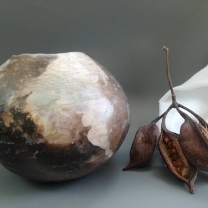 Könnte beinhalten: Eine dunkelbraune Keramikvase mit weißer und grauer Glasur. Die Vase steht auf einer grauen Oberfläche neben einer getrockneten Samenkapsel mit braunen Samen.