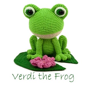 Haakpatroon Verdi de Kikker Amigurumi