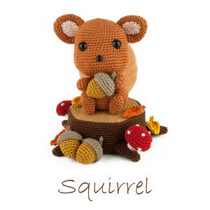 Crochet pattern Squirrel Amigurumi