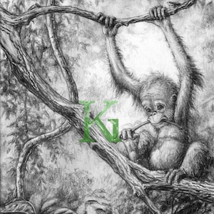 Orang-outan