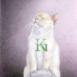 Gato orgulloso