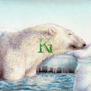 Carte de voeux « Ours polaire à terre » KG Cards