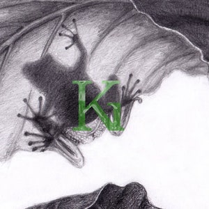 KG Cards Carte de vœux « Grenouille »
