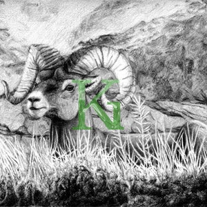 Carte de voeux cartes KG » de Ram »