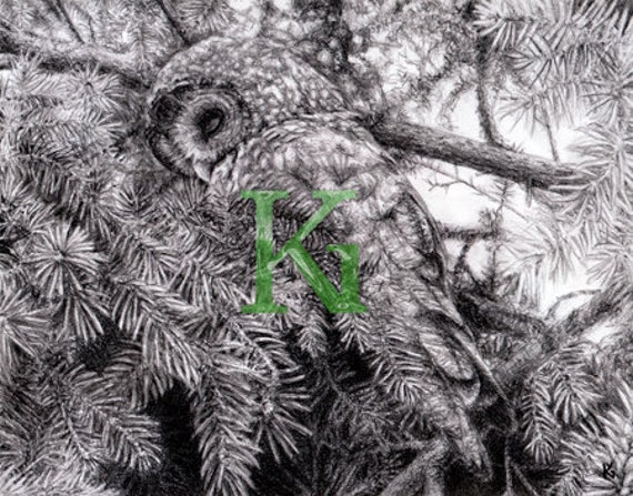 Chouette Qui Dort Etsy