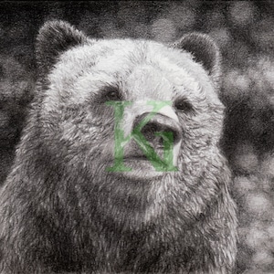Bärenkopf