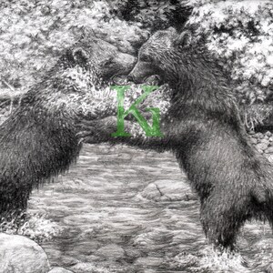 Combats d'ours