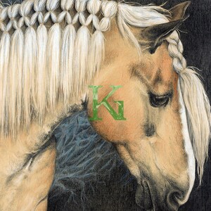 Biglietti KG "Cavallo, Marco" Biglietto d'auguri