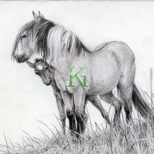 KG Cards Carte de vœux « Chevaux, jument et poulain »