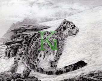 KG Cards "Snow Leopard" Greeting Card