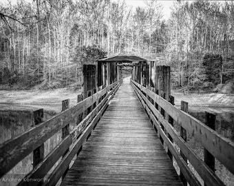 Foot Bridge at Tims Ford Lake, Winchester TN