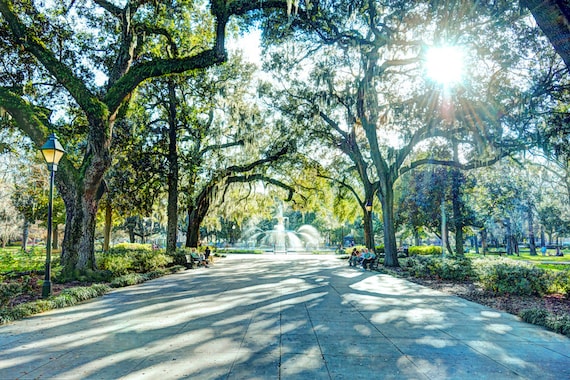 Sunshine over Savannah, Savannah GA