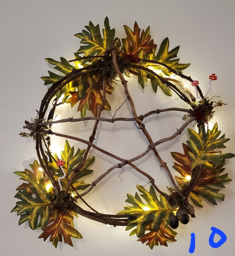 Pentagram Wreath natural vine, flowers, mushrooms, lights up 10