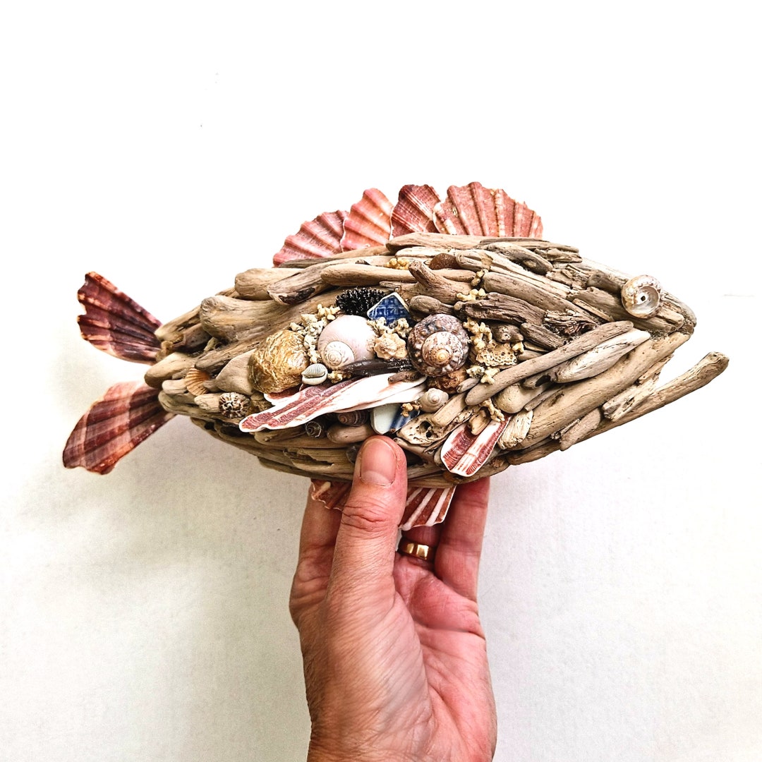 Driftwood Fish Wall Hanging Art. 11 Inches Long 25cm With Seashells