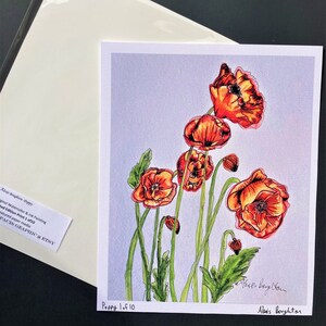 Poppy Flower Watercolor Painting Original Art Print Limited Edition Print &#39;Poppy&#39;