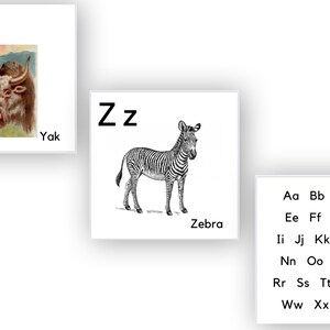 May include: Black and white illustration of a zebra with the letter 'Z' and the word 'Zebra' below it. The alphabet from 'A' to 'Z' is listed below the image.