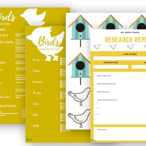 Birds Unit Study | Bird Unit | Printable Homeschool Lesson Plans | Homeschool Science Curriculum | Kindergarten, Preschool, Early Elementary