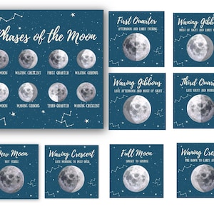 Moon Phase Cards | Printable Moon Phase Cards | Harvest Moon | Three Part Montessori Cards | Nature Study | Outer Space | Lunar Cycle