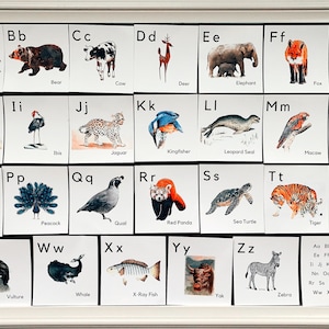 Animal Alphabet Cards | Animal ABC's | Watercolor Alphabet Cards | Homeschool Nature Study | Printable Flash Cards | Nature Inspired