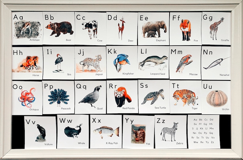 May include: A colorful alphabet chart with illustrations of animals for each letter. The chart is framed in white and has a black background. The letters are in black and the animal names are in black below each illustration.