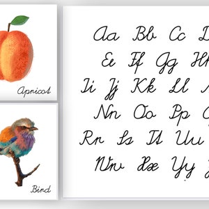 Cartões de alfabeto temáticos da natureza Cursive Montessori | Cartões do alfabeto Montessori | Cartões Montessori imprimíveis | Referência Cursiva | Ensino em casa