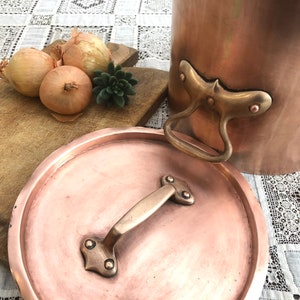 May include: A copper pot with a lid and brass handles. The pot sits next to a wooden cutting board with three onions and a small succulent plant. The pot is a warm, reddish-brown color.