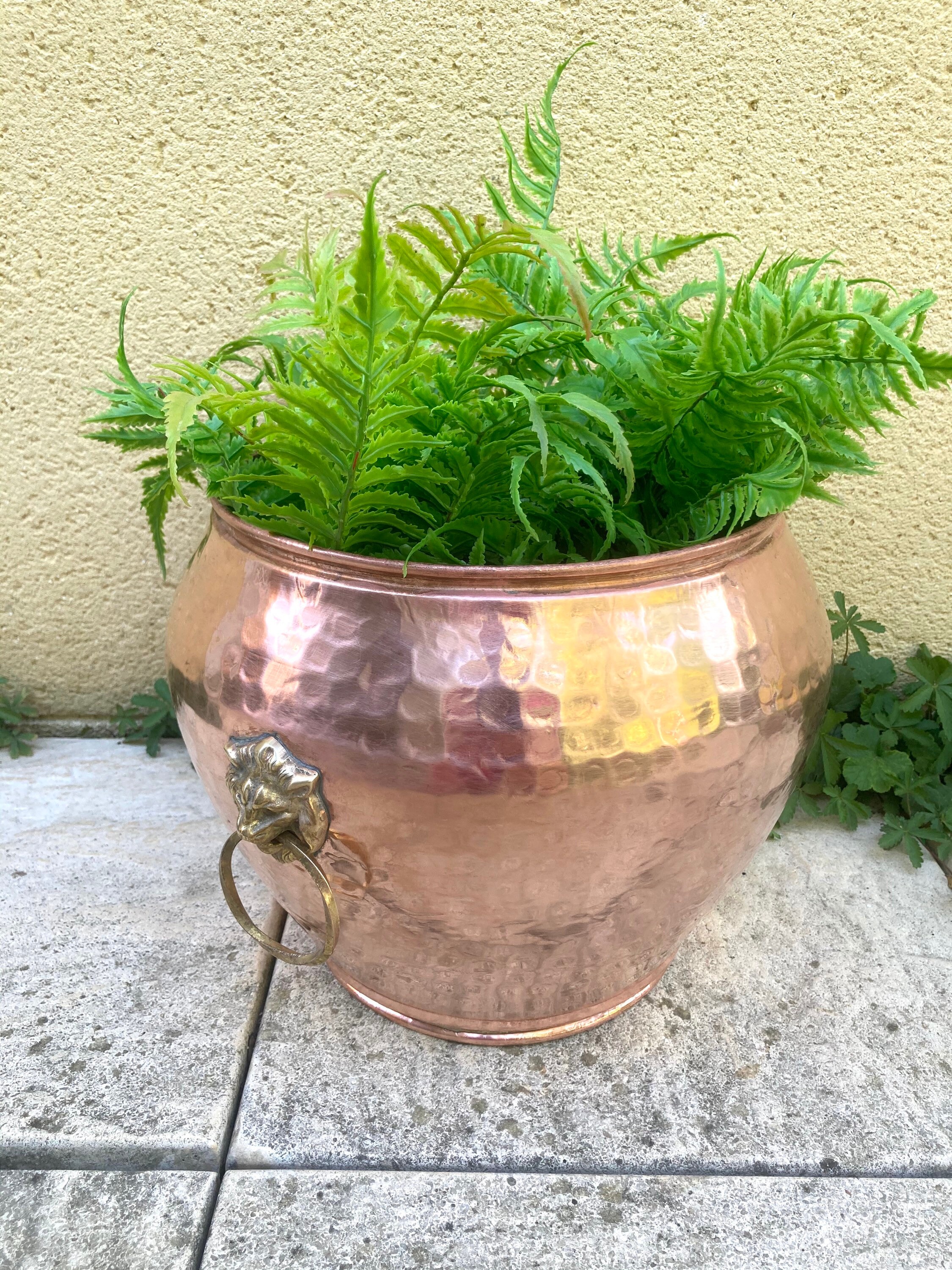 Français Artisan Cuivre Conteneur Pot de Fleurs Stand Planter Martelé Poignée Fer Roulé Lip Paris, F