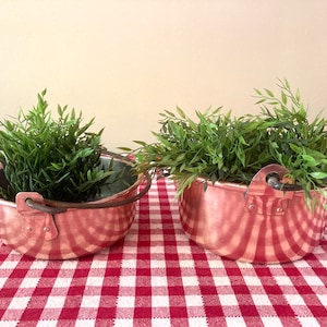 May include: Two copper pots with handles, each filled with green leafy plants, sitting on a red and white checkered tablecloth.