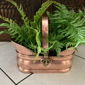 May include: A copper planter with a brass handle and decorative accents. The planter is filled with green ferns.