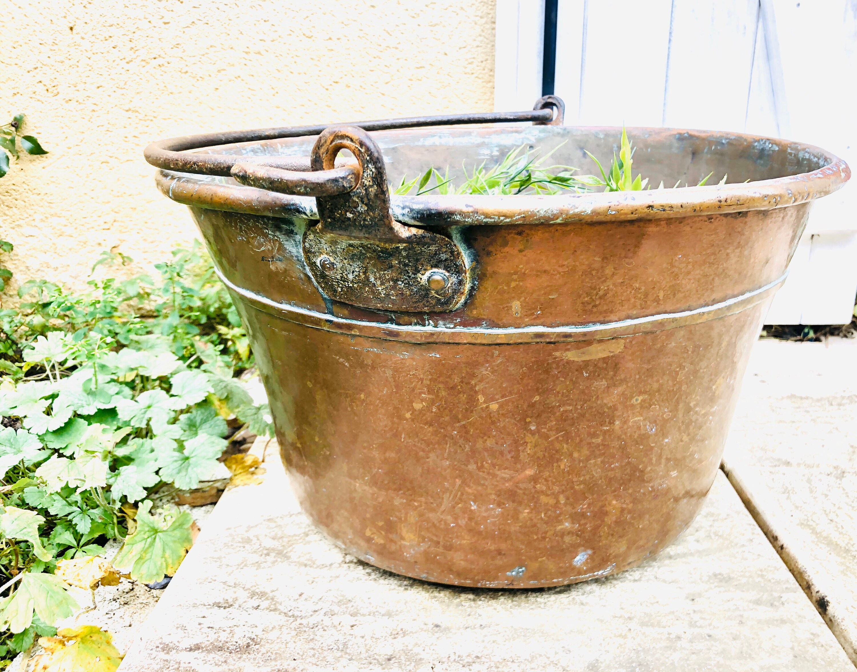 Français Extra Large Antique Hand Forged Copper Jam Basin Bowl Wrought Iron Handles Planter Plants P