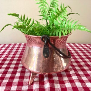 May include: A hammered copper pot with a black iron handle and three legs. The pot is filled with a green fern plant.