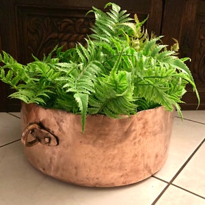 May include: A copper planter with a hammered finish and a decorative handle, filled with green ferns.