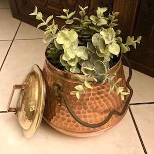 May include: A hammered copper pot with a brass lid and a handle. The pot is filled with a green leafy plant.