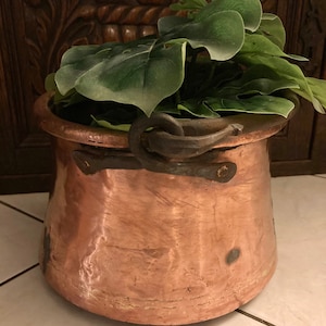 May include: A copper pot with a hammered finish and a wrought iron handle. The pot is filled with a green leafy plant.