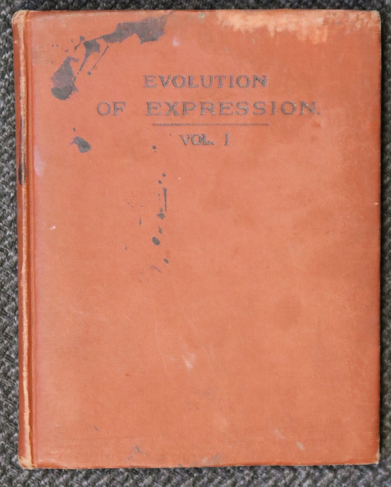 Op de afbeelding: Een bruin lederen gebonden boek met de titel "Evolution of Expression, Vol. I" gedrukt op de voorzijde.
