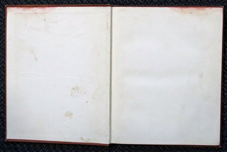 Op de afbeelding: Een leeg, wit boek met een rode kaft. Het boek is open en de pagina's zijn leeg.