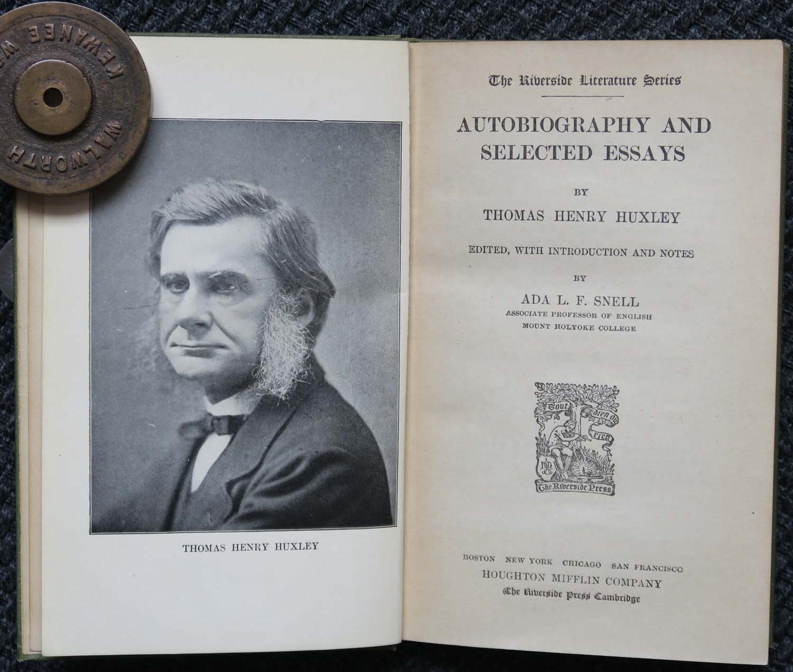 Literacy autobiography essay picture