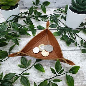 May include: A brown leather triangular tray with five coins inside. The tray is sitting on a white wooden surface with green leafy plants.