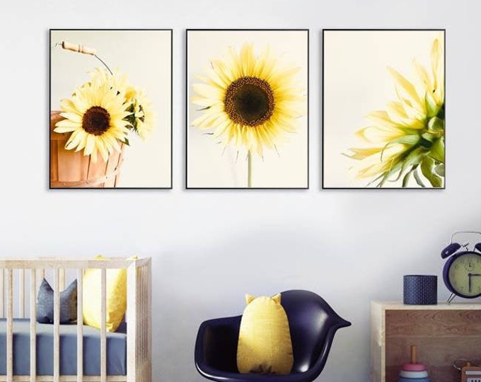Set of 3 Sunflower Prints Yellow nature photo Ivory Brown Cream Wall Art print set Minimalist Style Flower Photos Sunflower Nursery Decor
