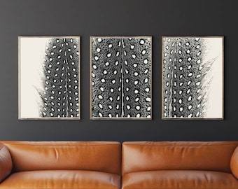 5 Feather Photo Gallery Wall Set Abstract Macro Printable Set Photography Fine Art Print Minimalist Wall Art Modern Farmhouse Boho Feathers