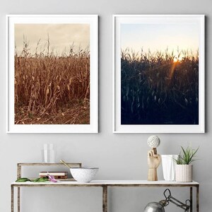 Rustic Photo Print Set 0f 2 Farm Sunset Cornfield Yellow Orange Brown Nature Cornstalks Wall Art Farm Print Bold Contrast Fall Colors