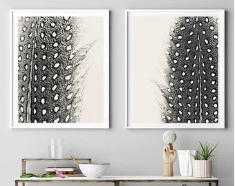 5 Feather Photo Gallery Wall Set Abstract Macro Printable Set Photography Fine Art Print Minimalist Wall Art Modern Farmhouse Boho Feathers