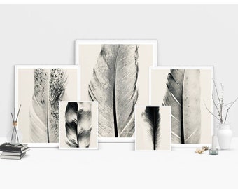 5 Feather Photo Gallery Wall Set Abstract Macro Printable Set Photography Fine Art Print Minimalist Wall Art Modern Farmhouse Boho Feathers