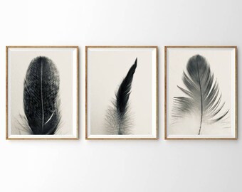 5 Feather Photo Gallery Wall Set Abstract Macro Printable Set Photography Fine Art Print Minimalist Wall Art Modern Farmhouse Boho Feathers