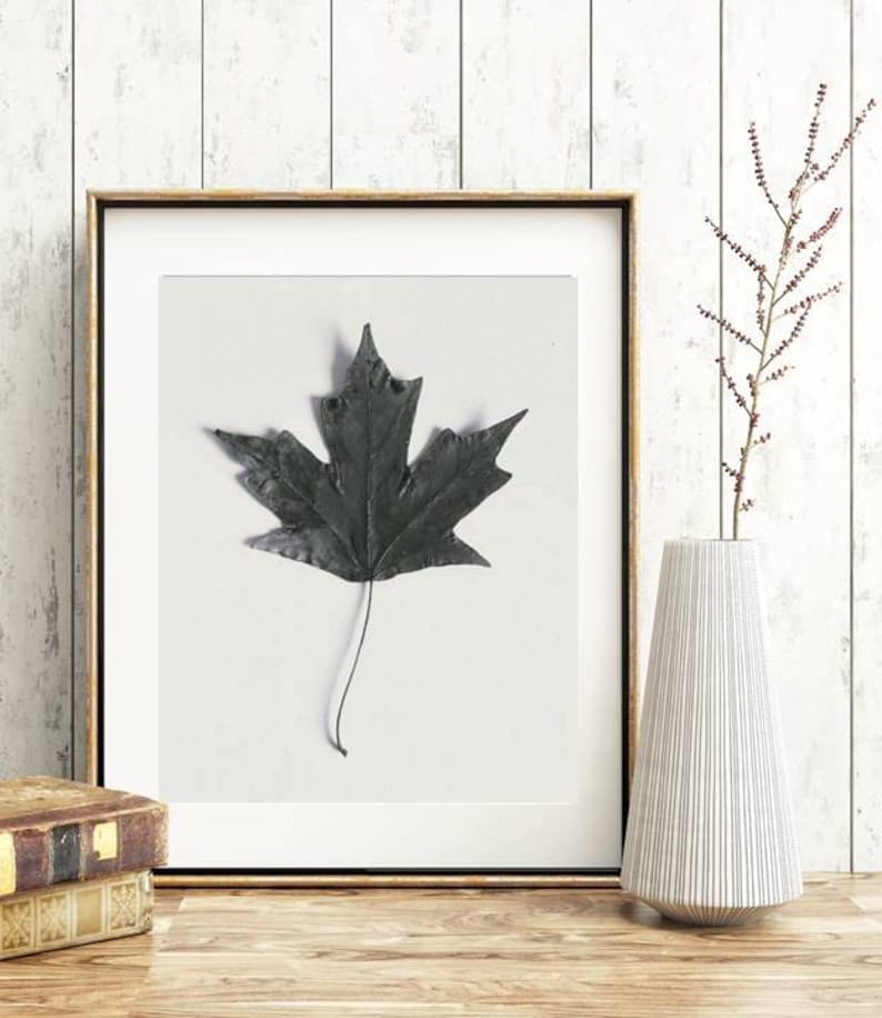 Black and White Nature Photo Simple Minimalist Art Maple Leaf Fall Decor Farmhouse Style Print Digital Download Image Printable Photo Art