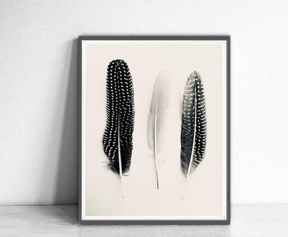 5 Feather Photo Gallery Wall Set Abstract Macro Printable Set Photography Fine Art Print Minimalist Wall Art Modern Farmhouse Boho Feathers
